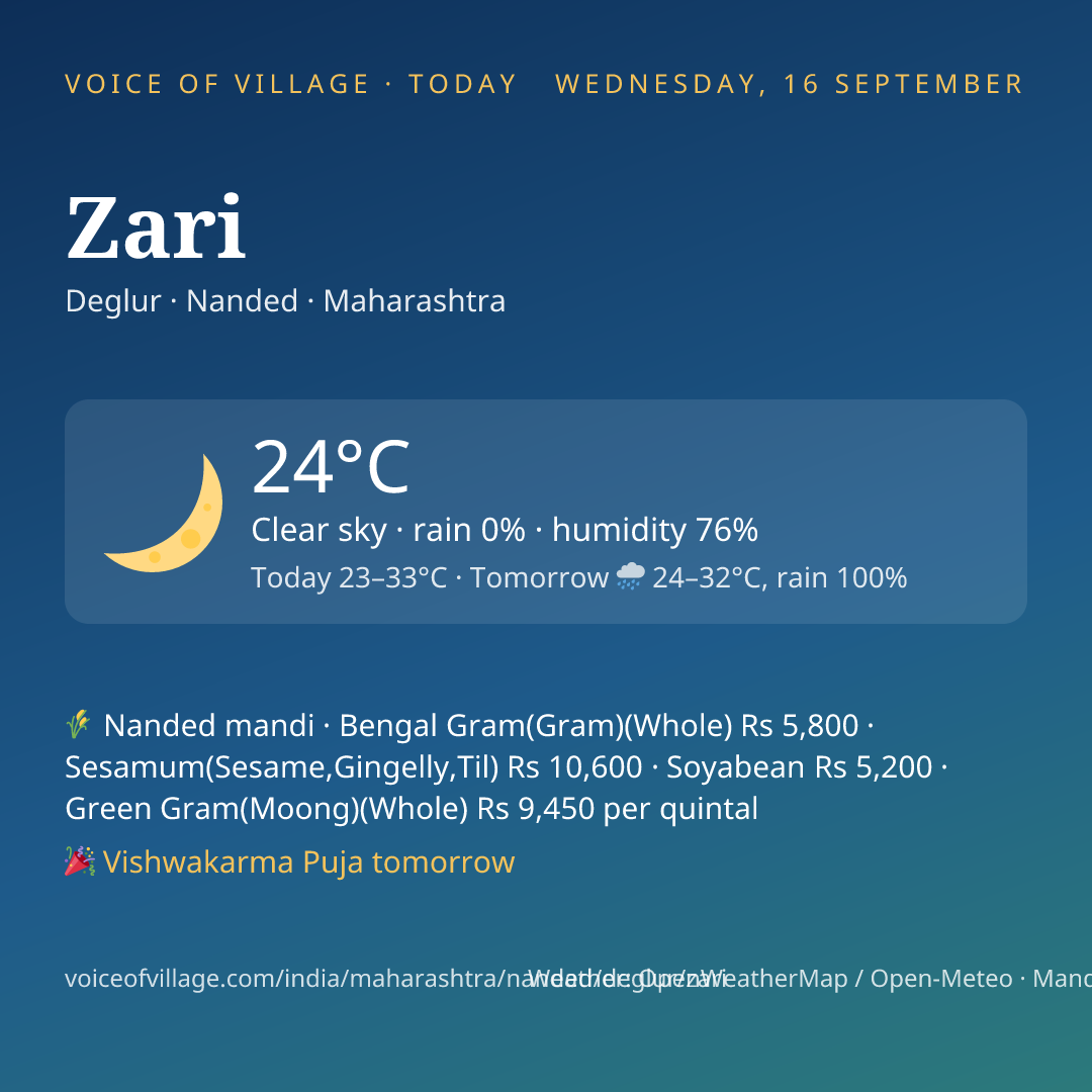Zari today