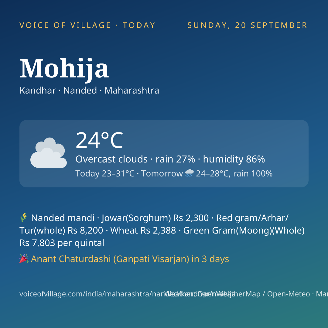 Mohija today