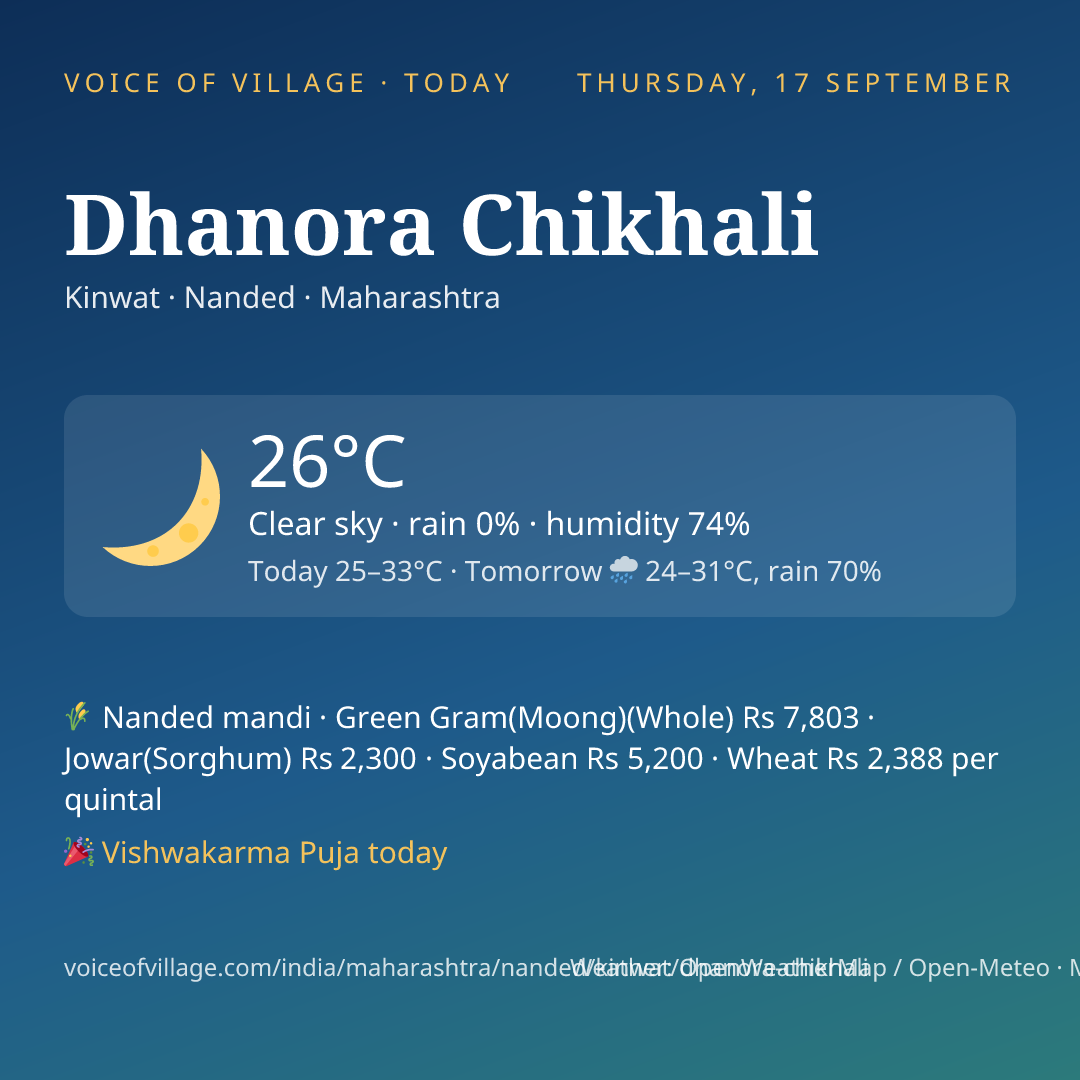 Dhanora Chikhali today