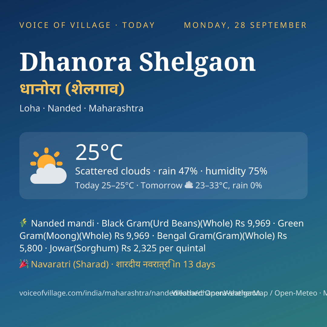 Dhanora Shelgaon today
