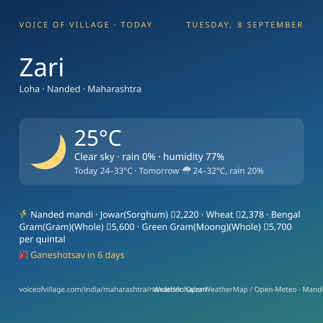 Zari today