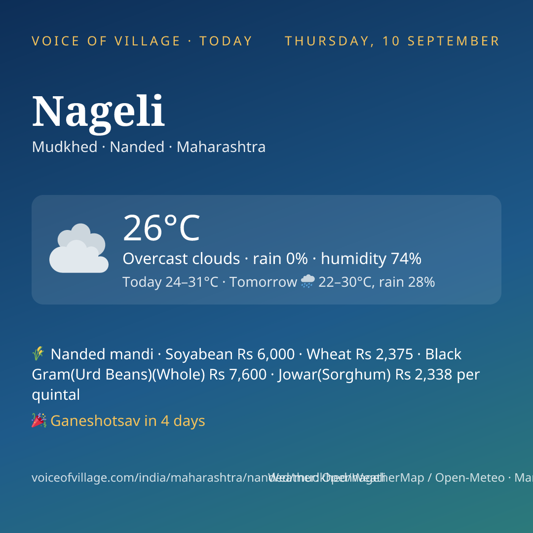 Nageli today