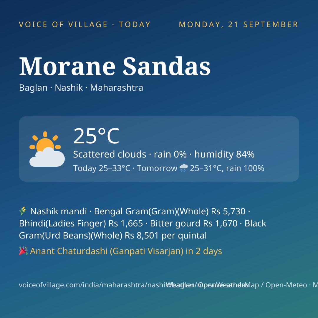 Morane Sandas today