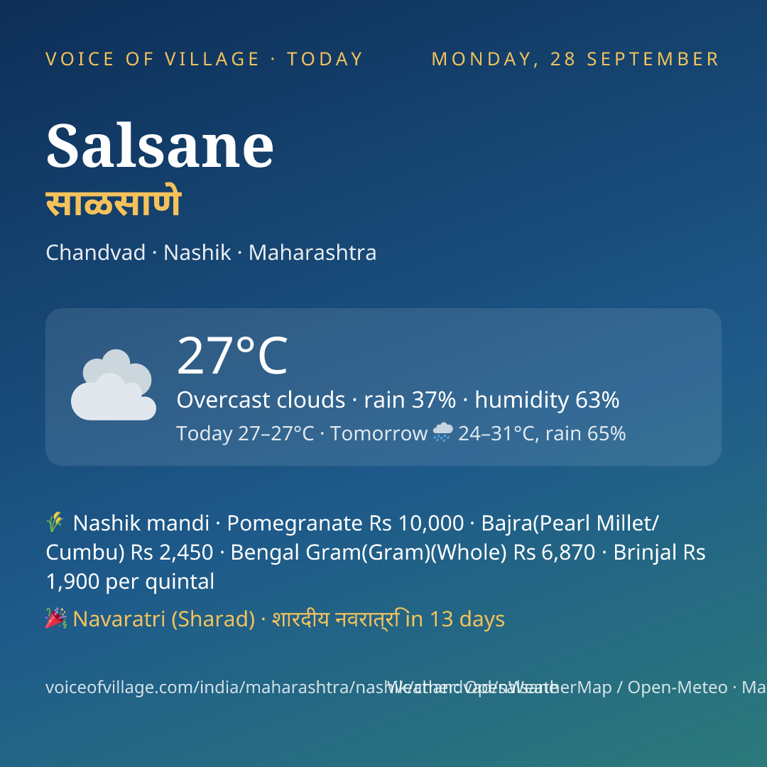 Salsane today
