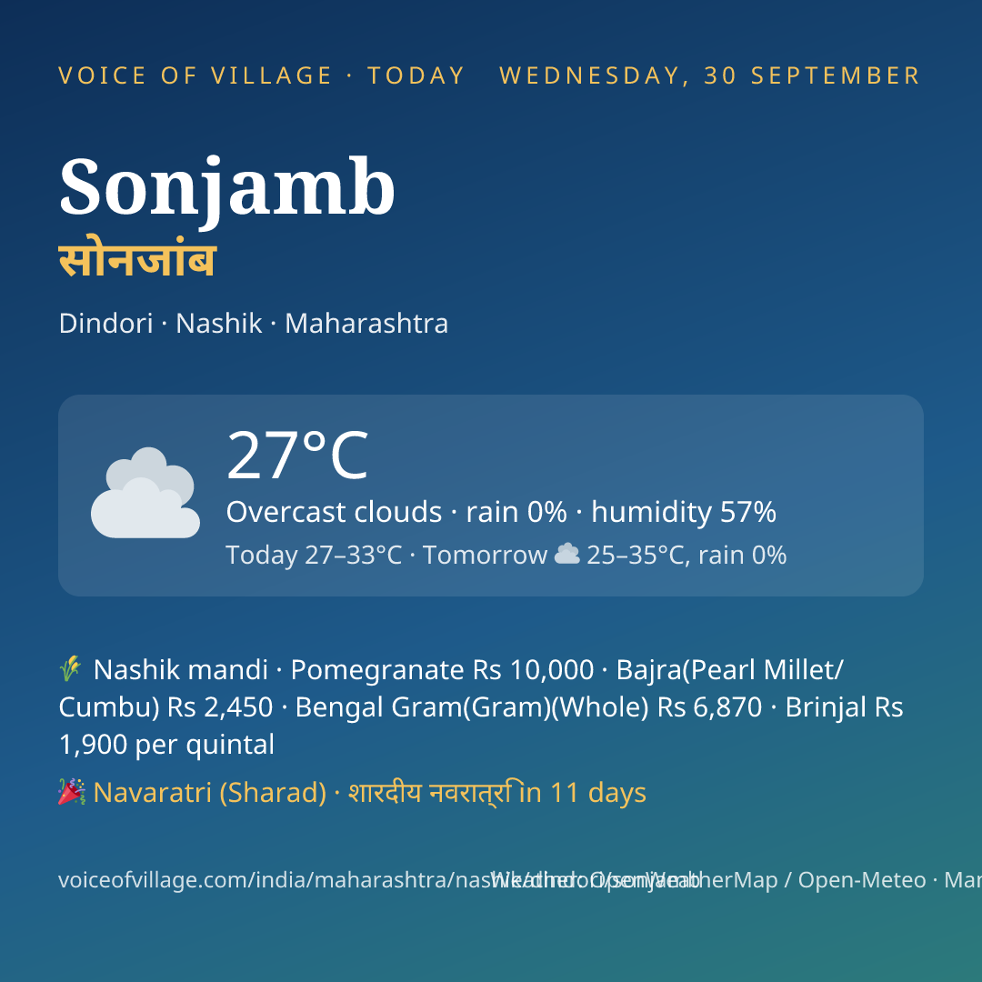 Sonjamb today