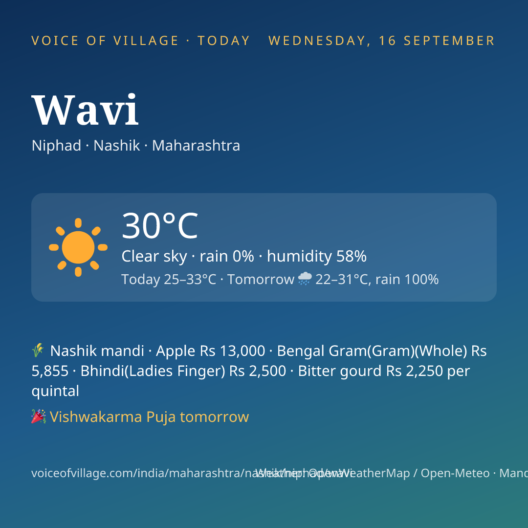 Wavi today