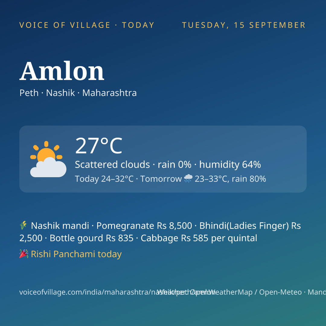 Amlon today