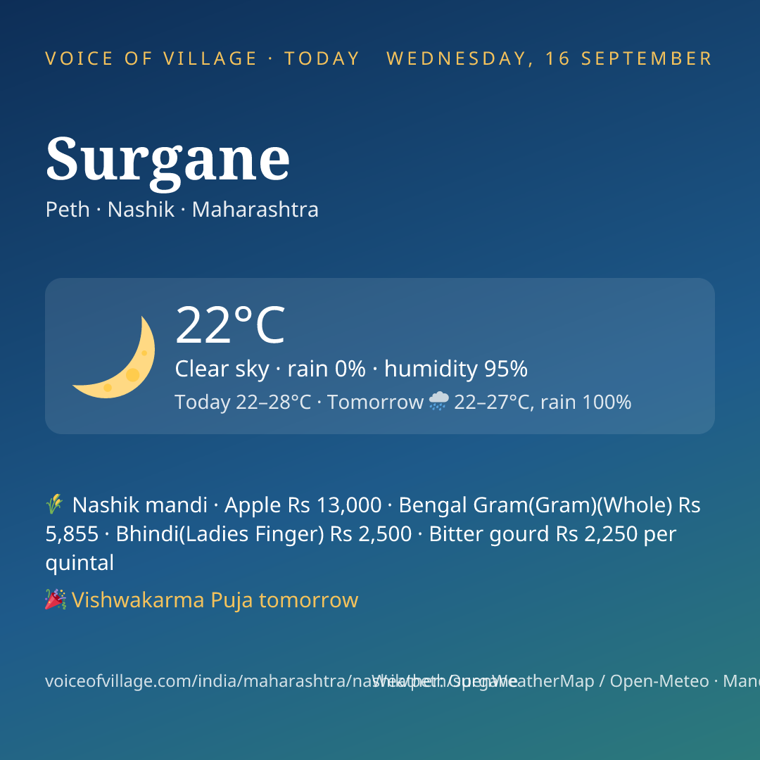 Surgane today