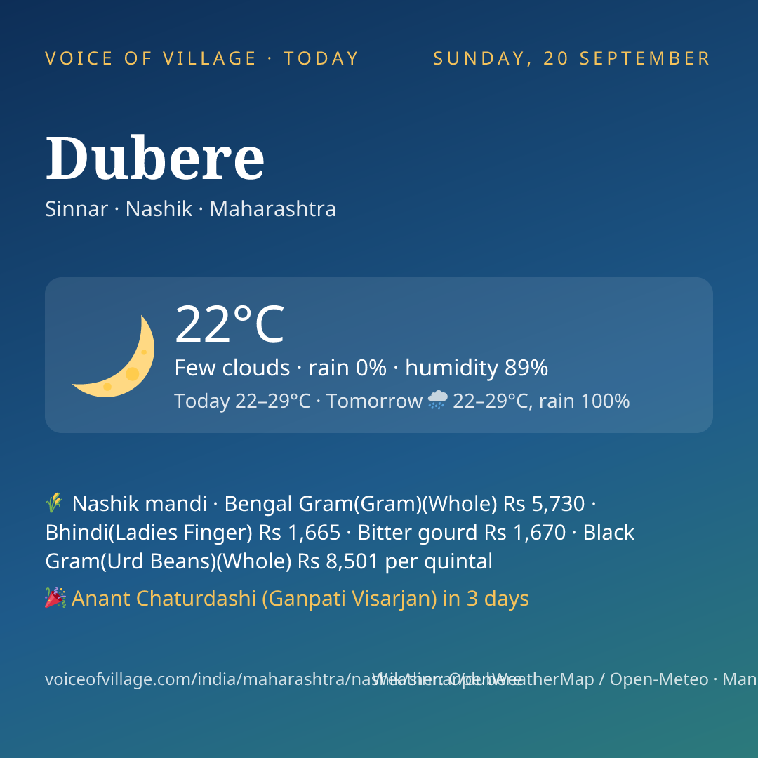 Dubere today