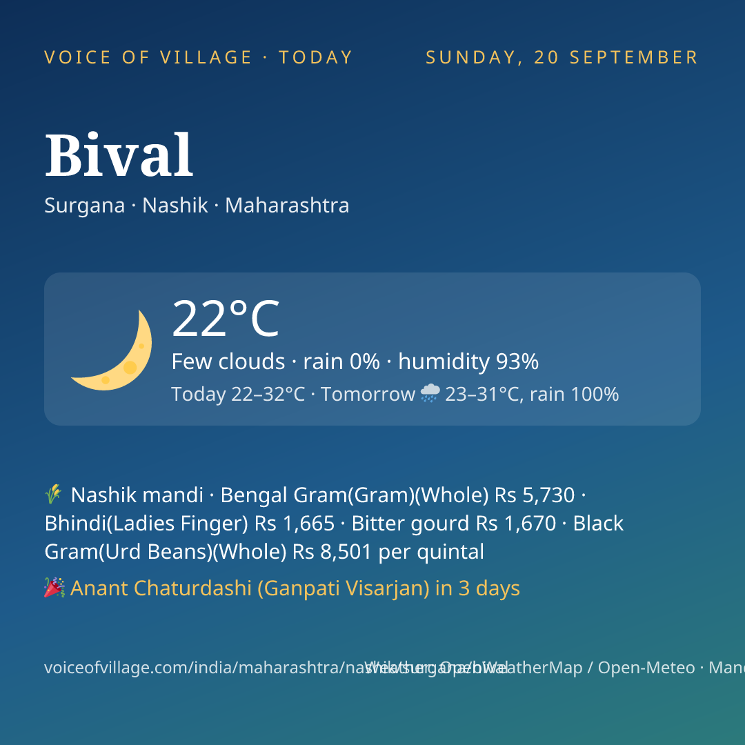 Bival today