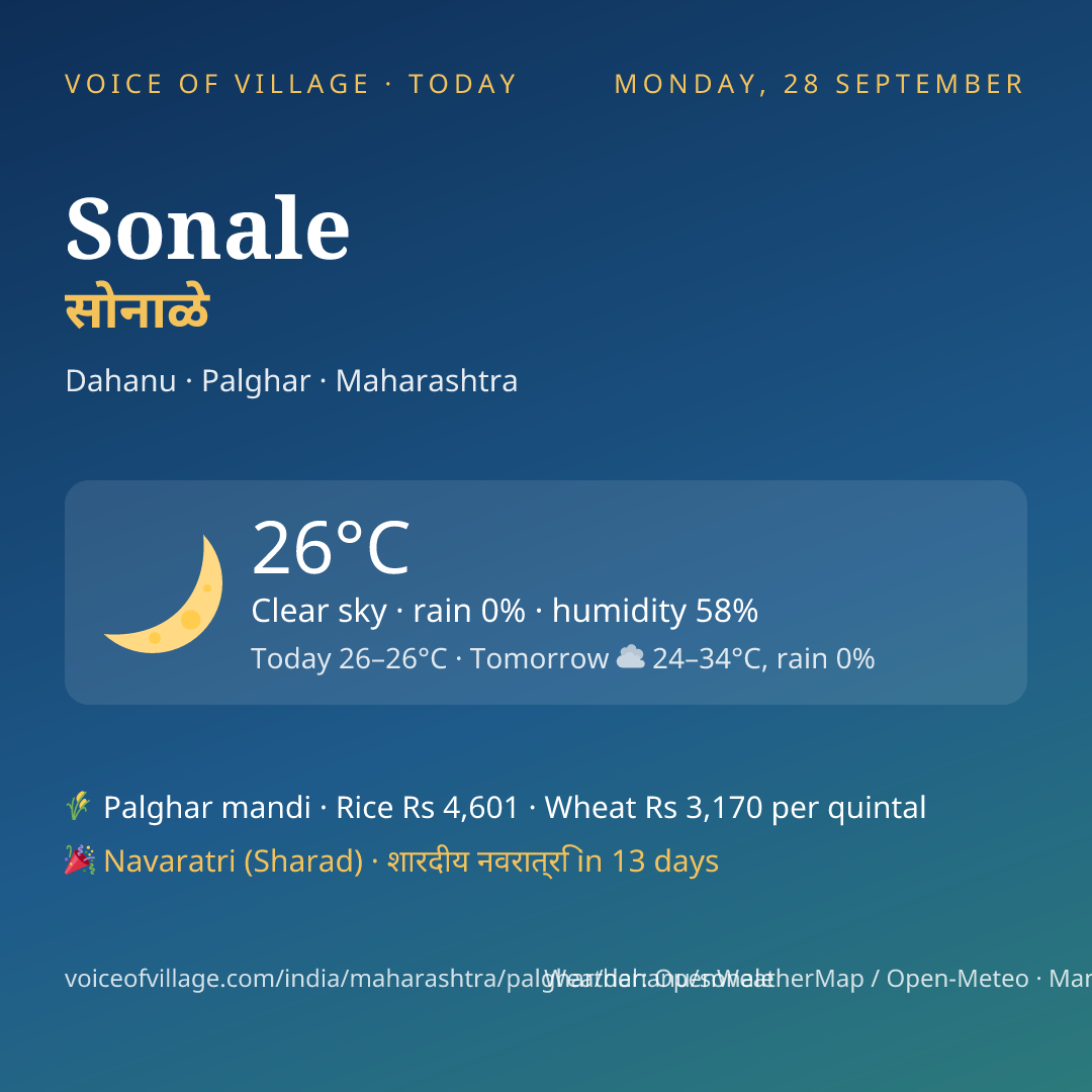 Sonale today