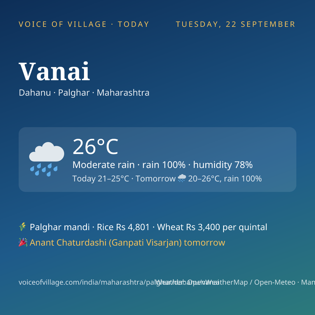 Vanai today