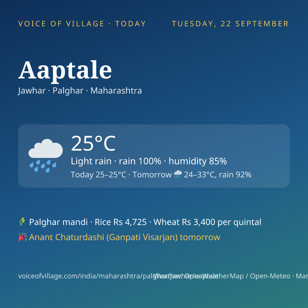 Aaptale today