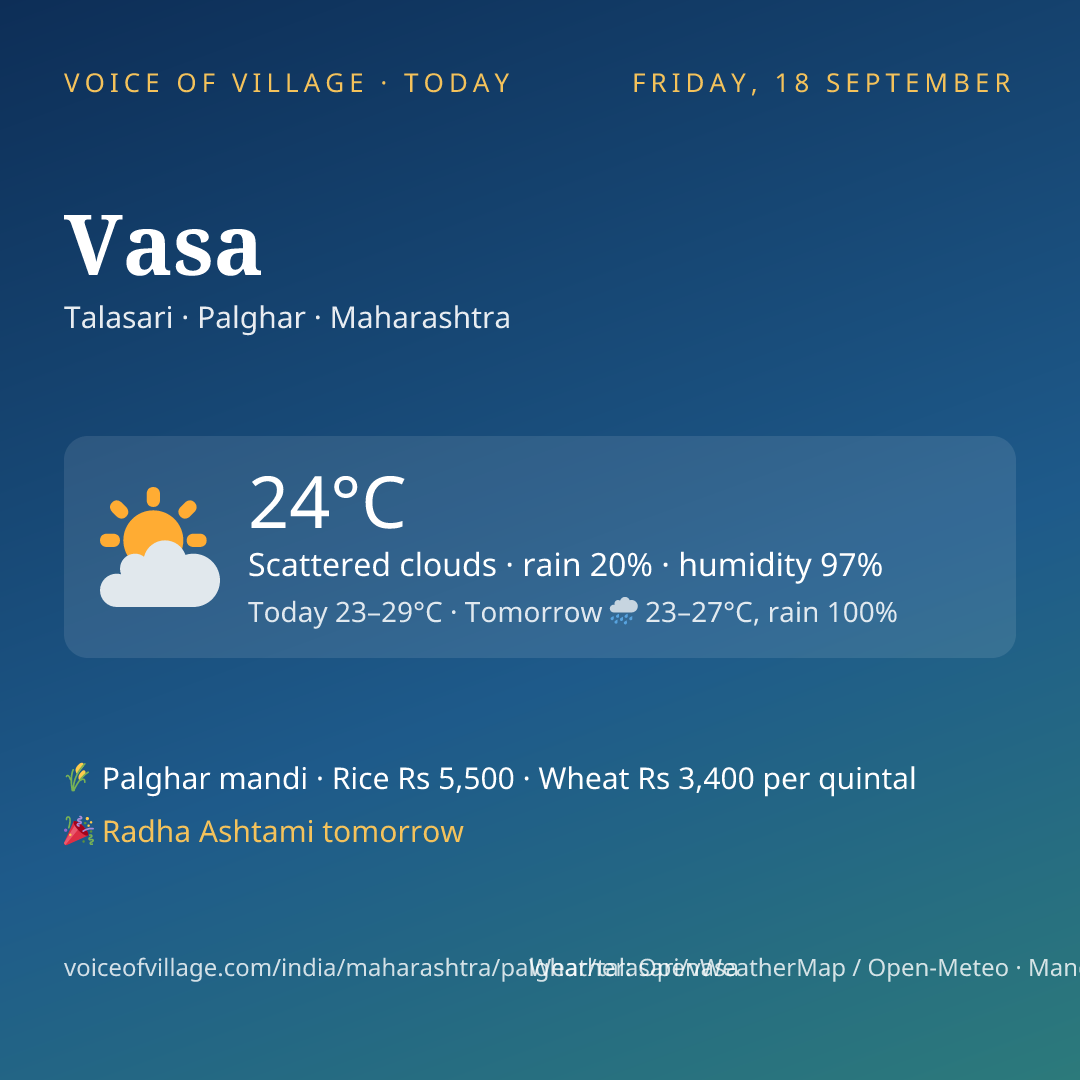 Vasa today