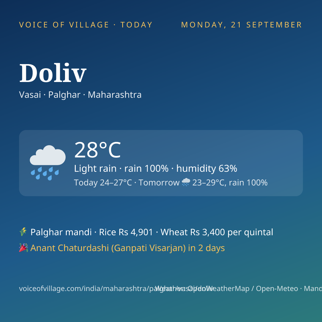 Doliv today