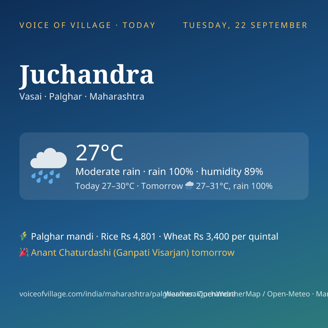Juchandra today