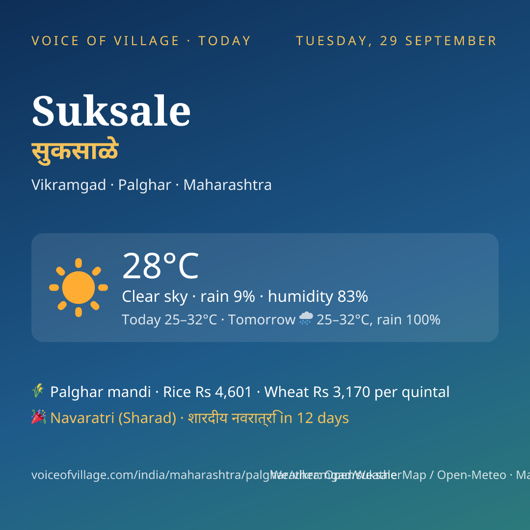 Suksale today