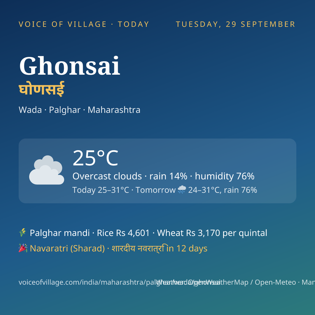 Ghonsai today