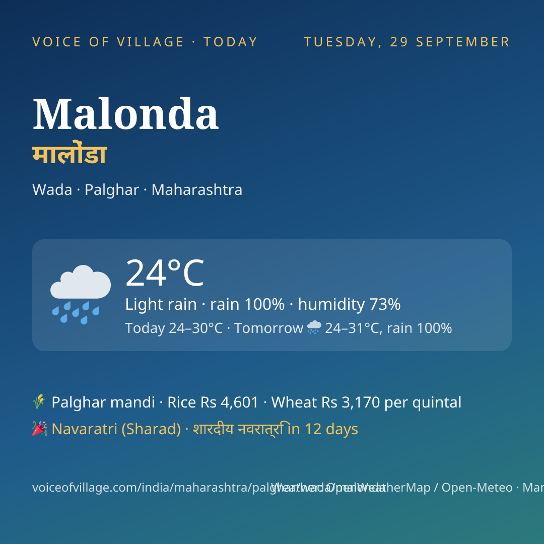 Malonda today