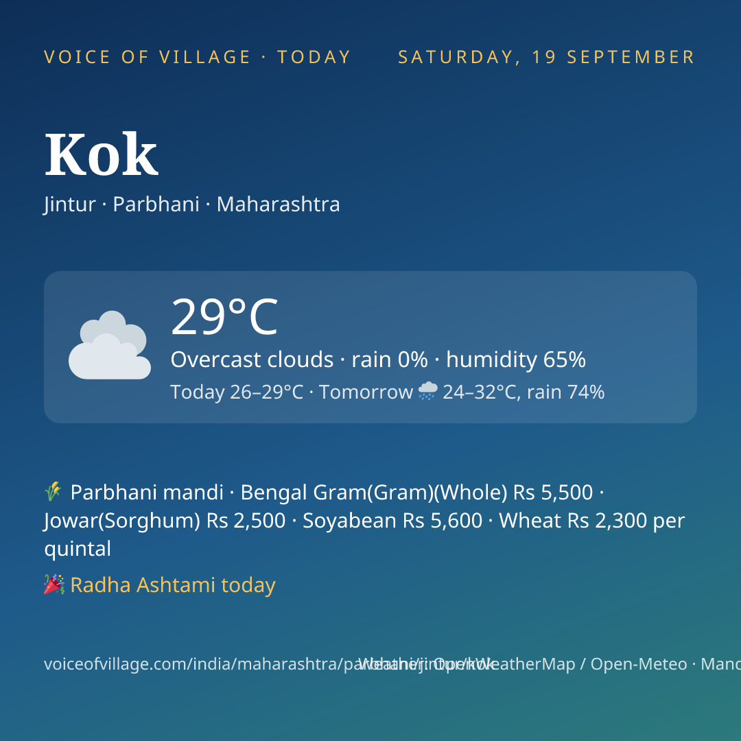 Kok today