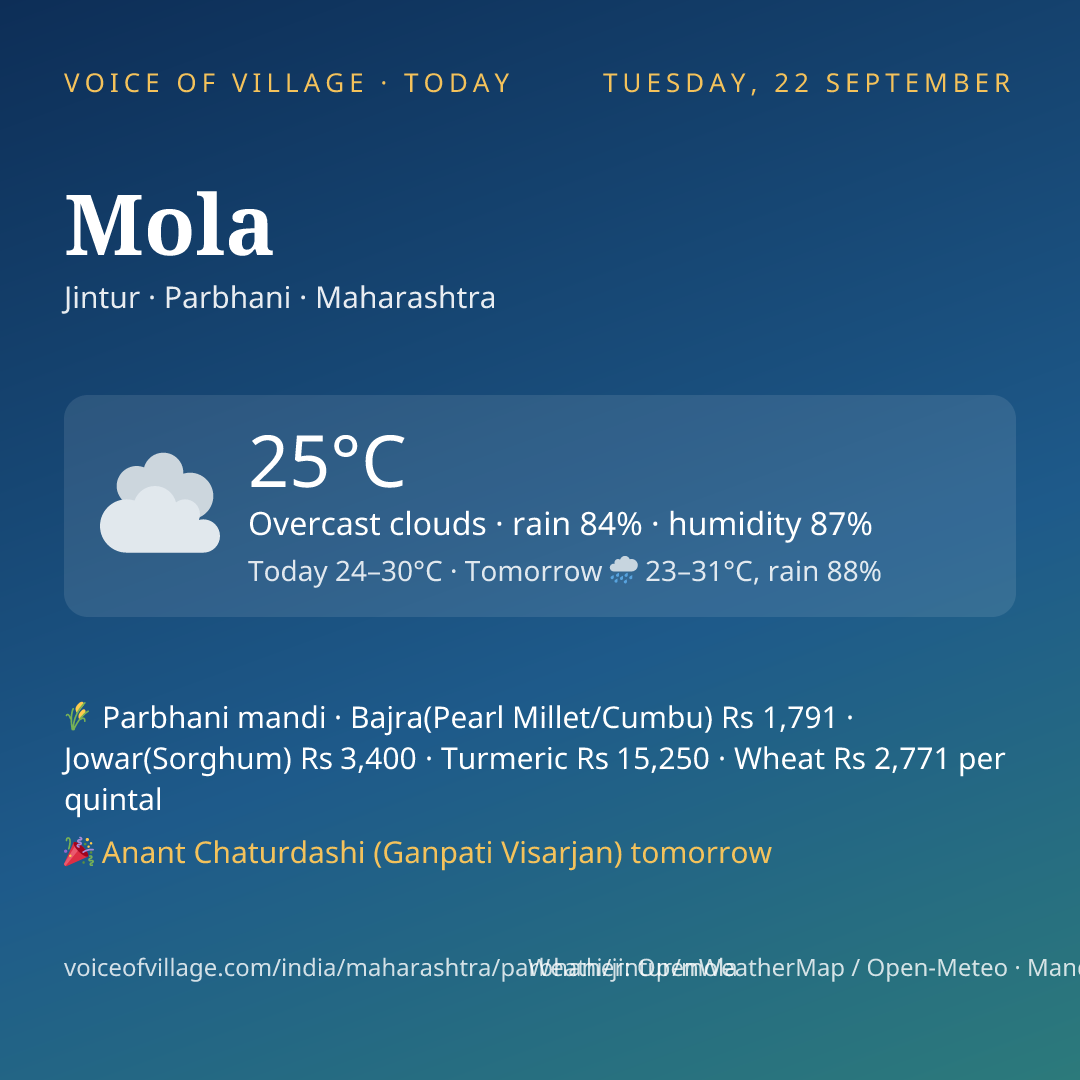 Mola today