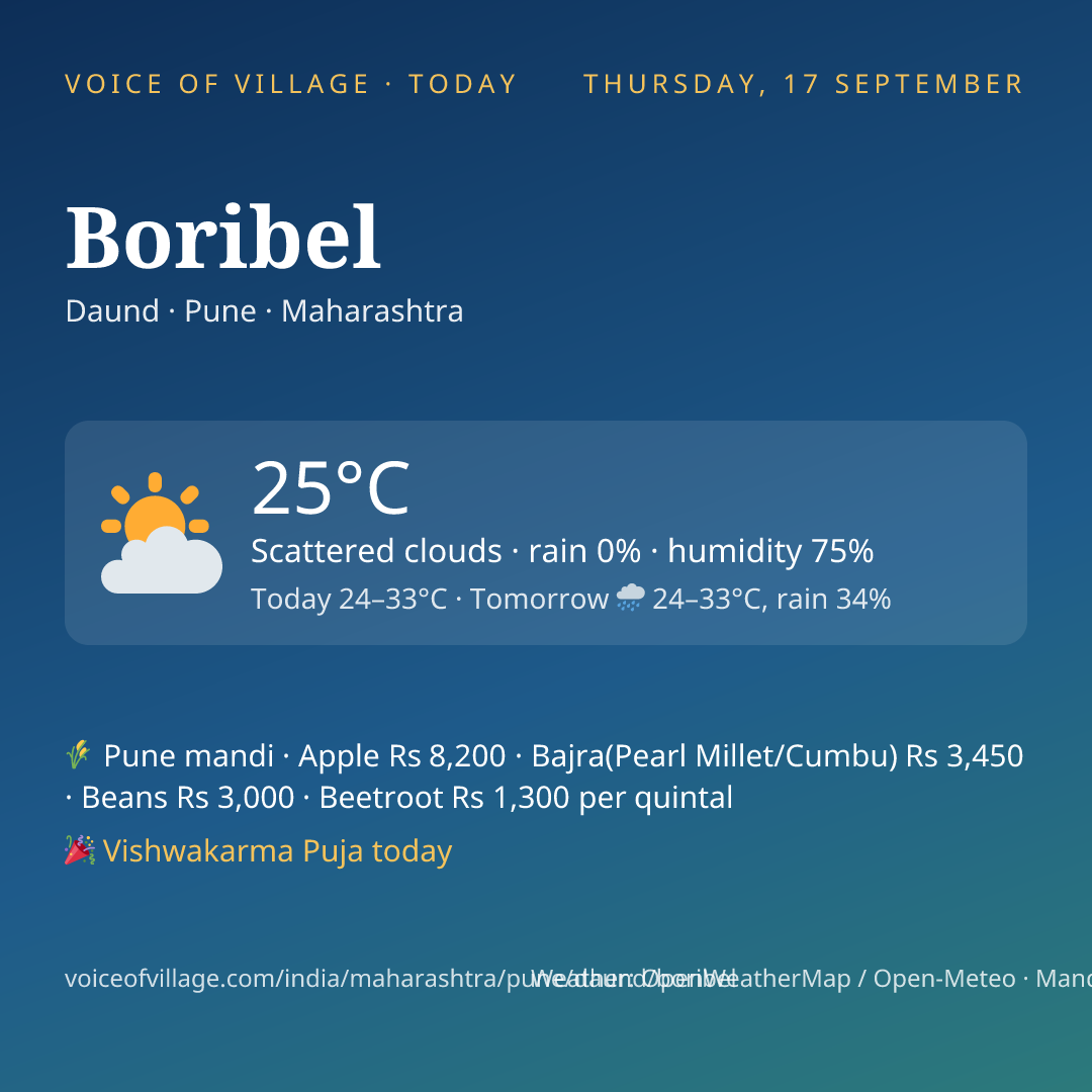 Boribel today