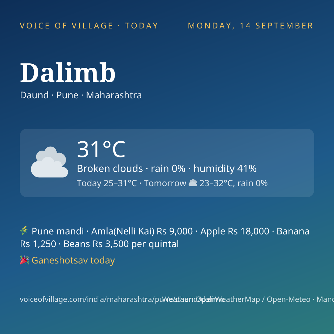 Dalimb today
