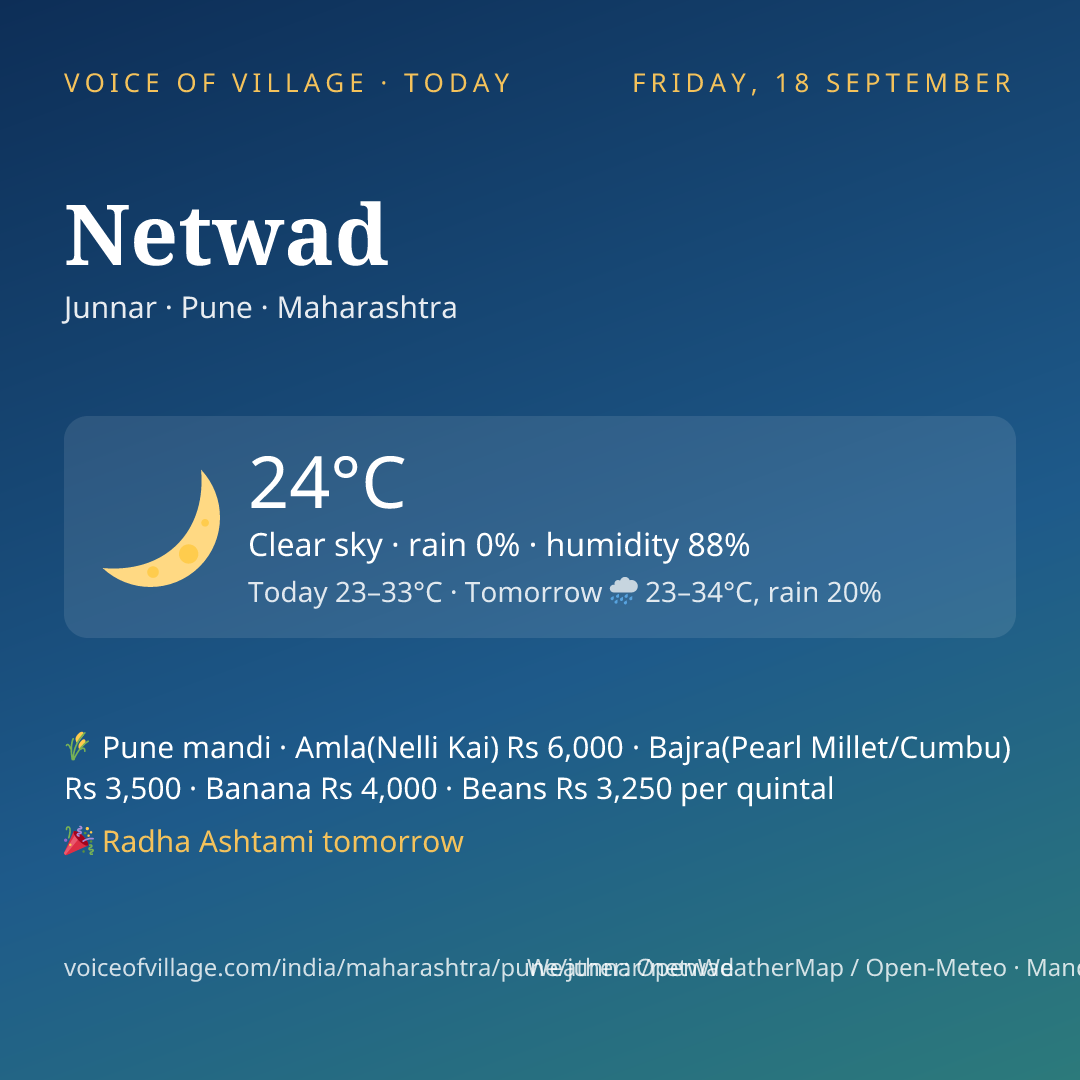 Netwad today
