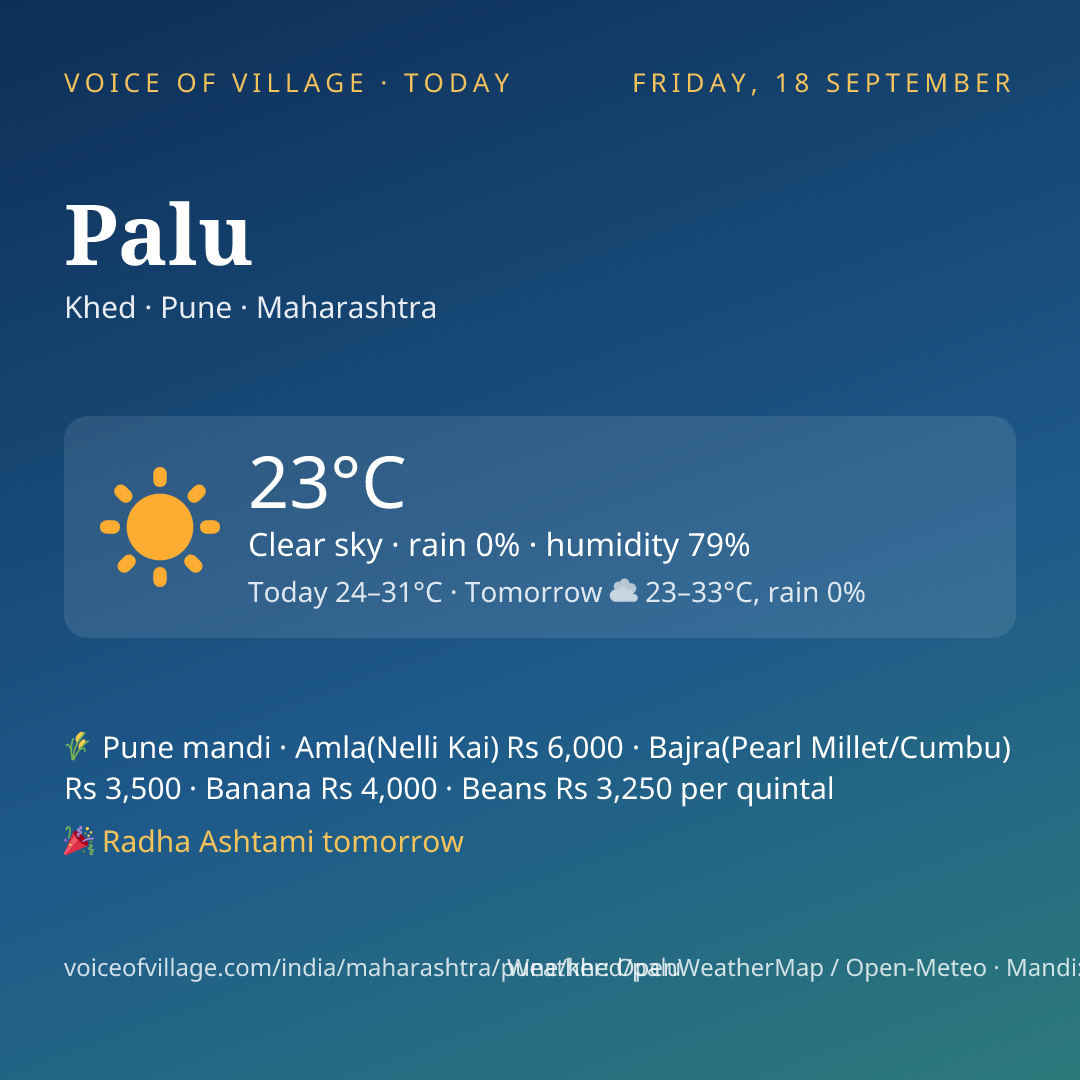 Palu today