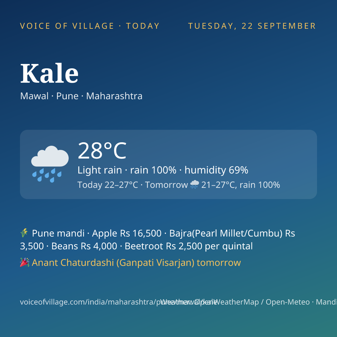 Kale today