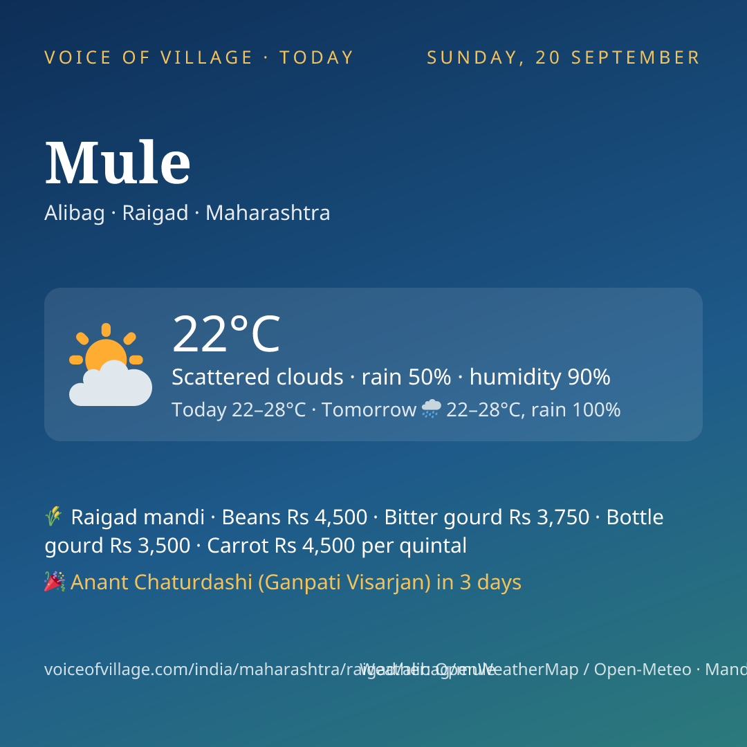 Mule today