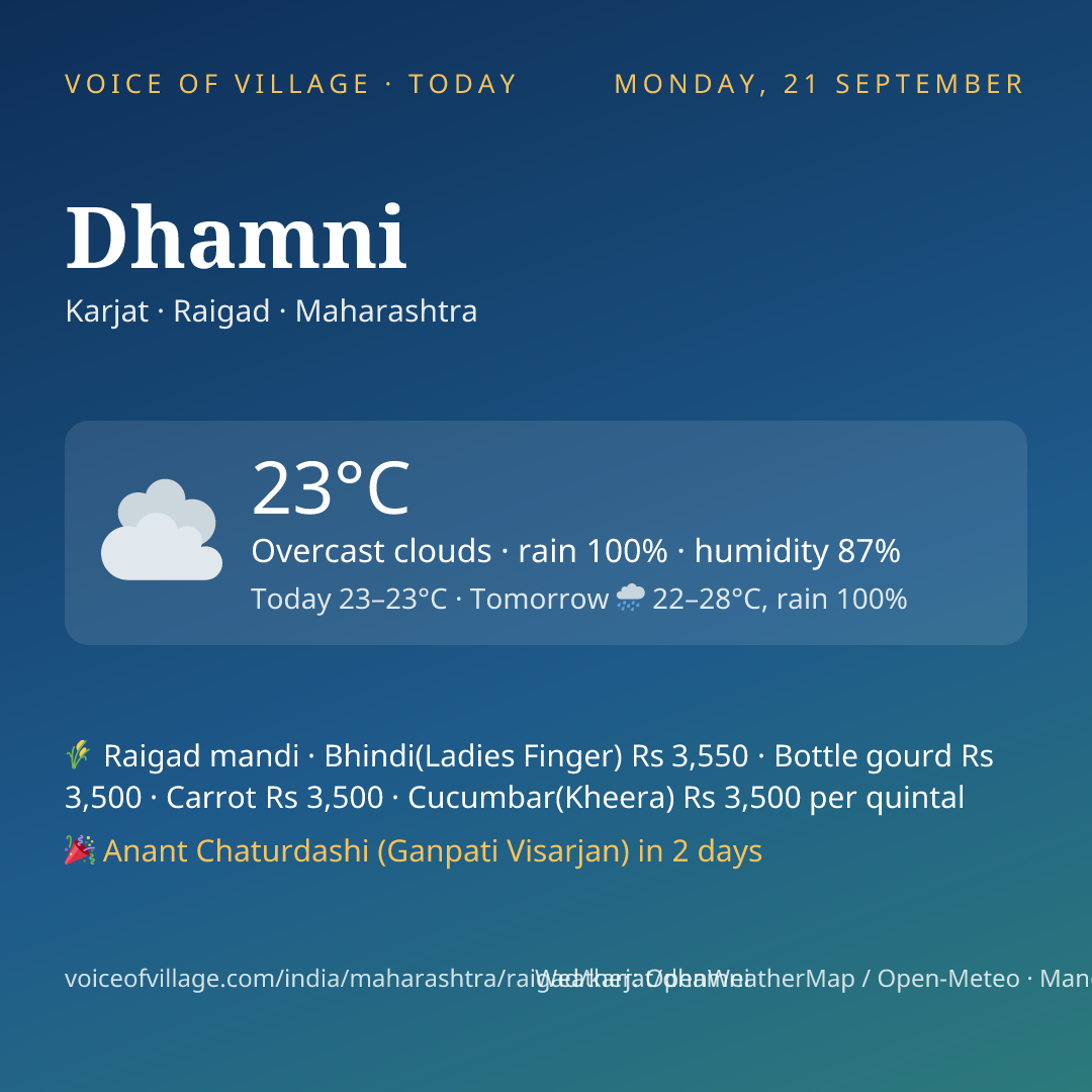 Dhamni today