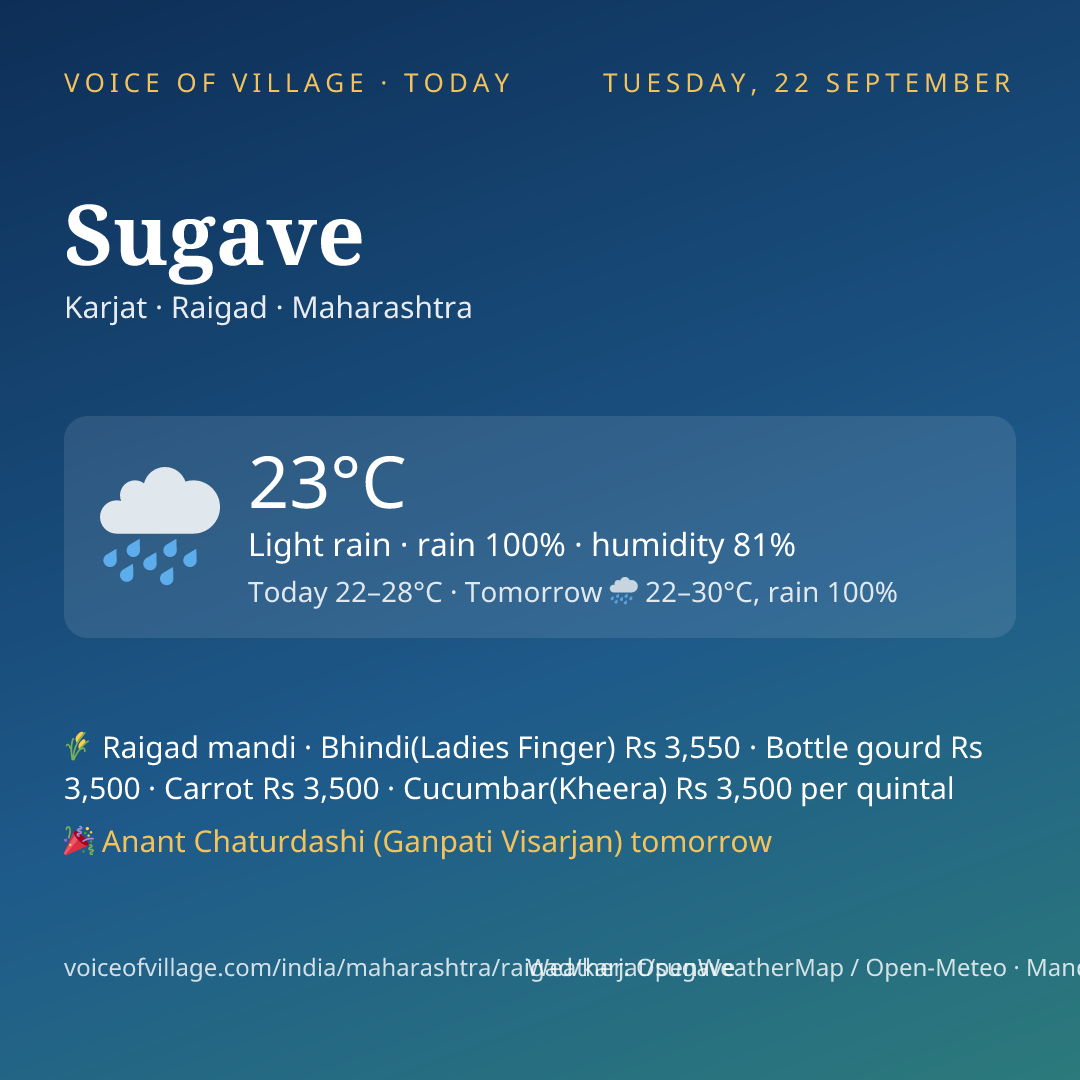 Sugave today