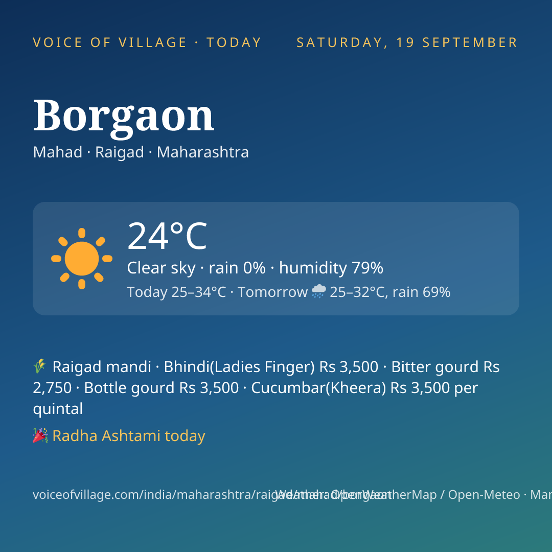 Borgaon today