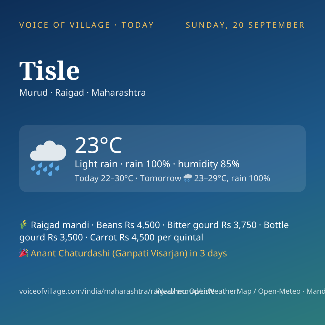 Tisle today