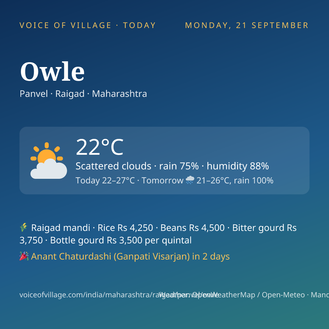 Owle today
