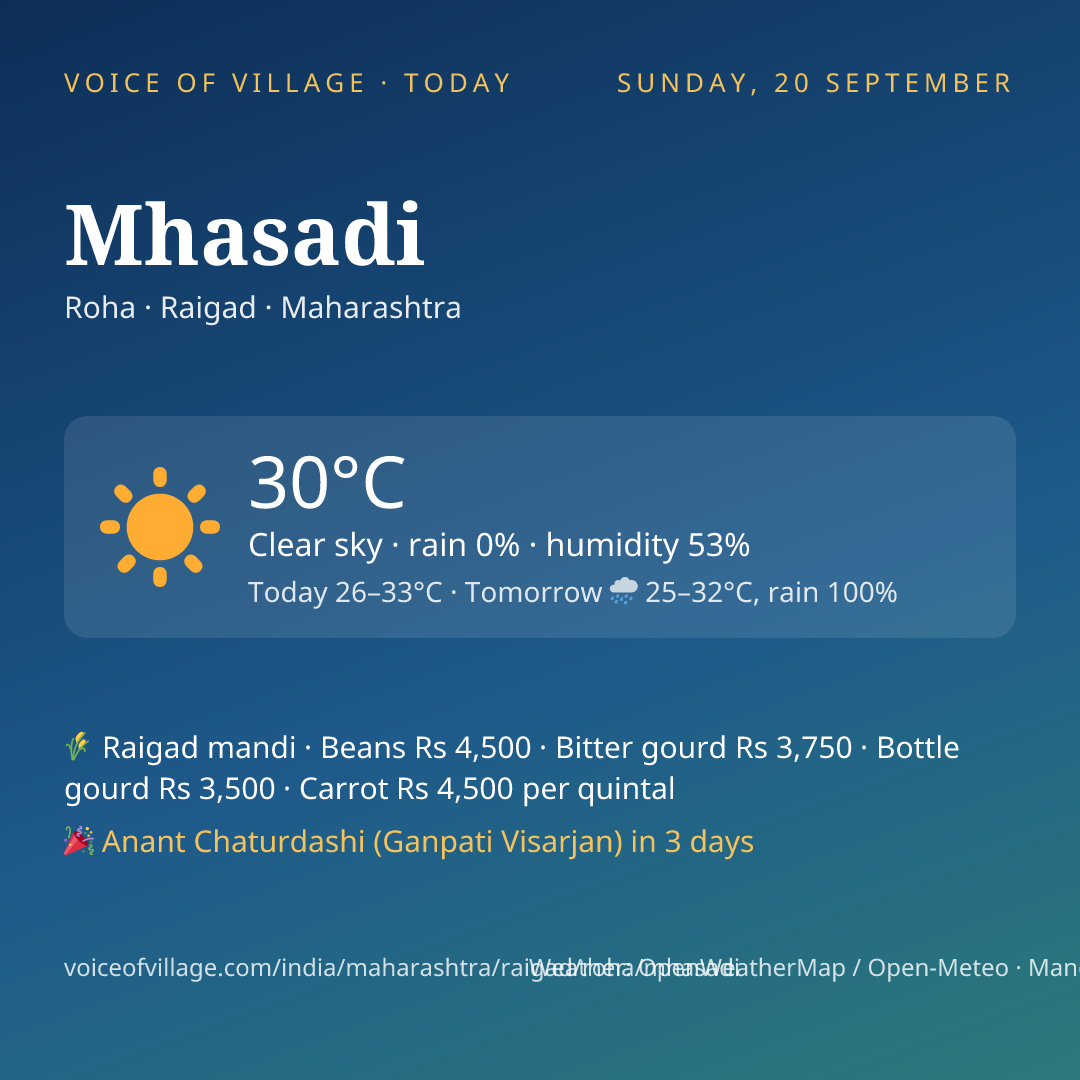 Mhasadi today