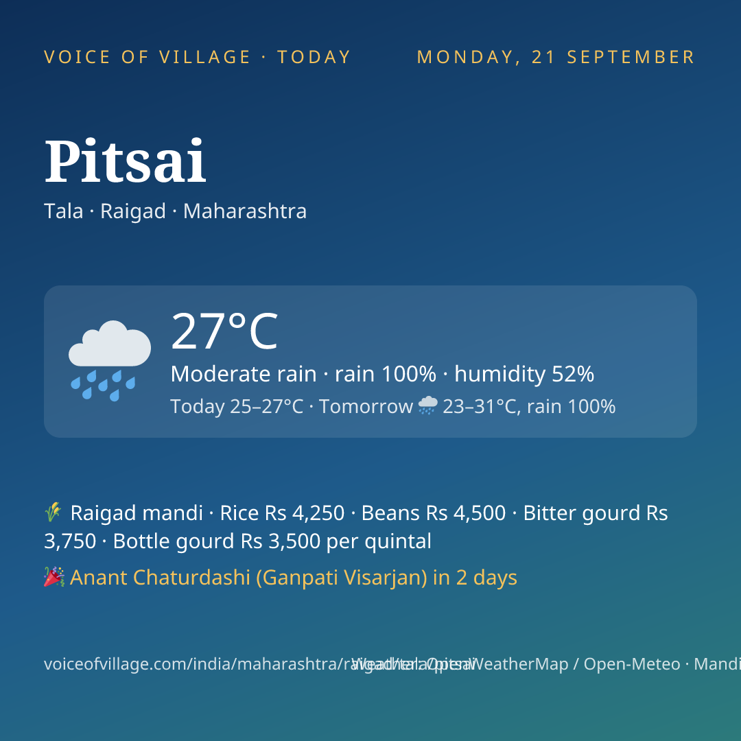Pitsai today