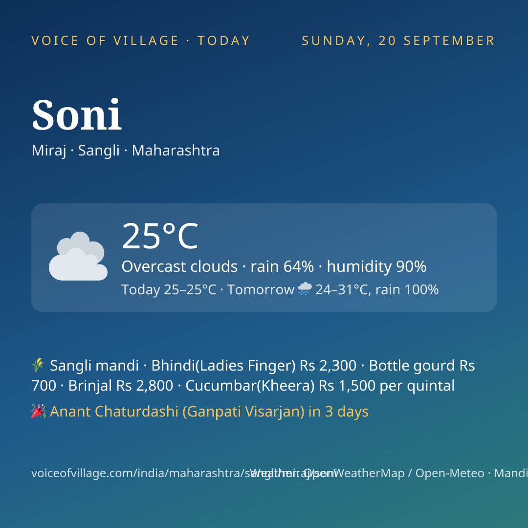 Soni today