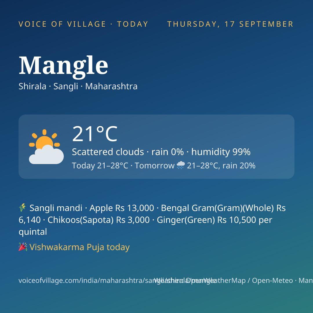 Mangle today