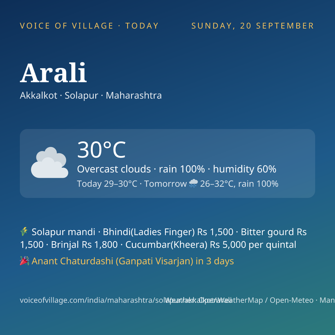Arali today