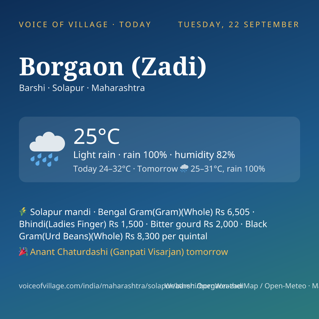 Borgaon (Zadi) today