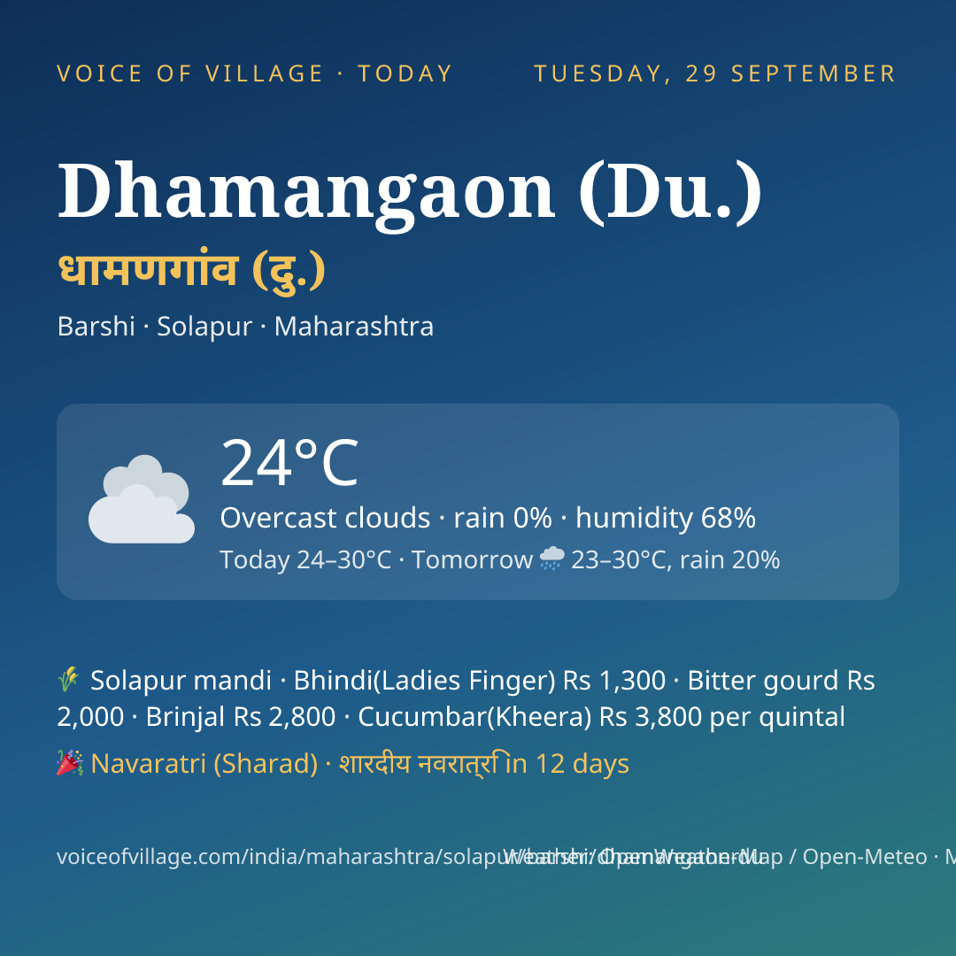 Dhamangaon (Du.) today
