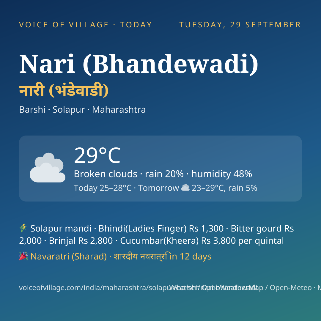 Nari (Bhandewadi) today