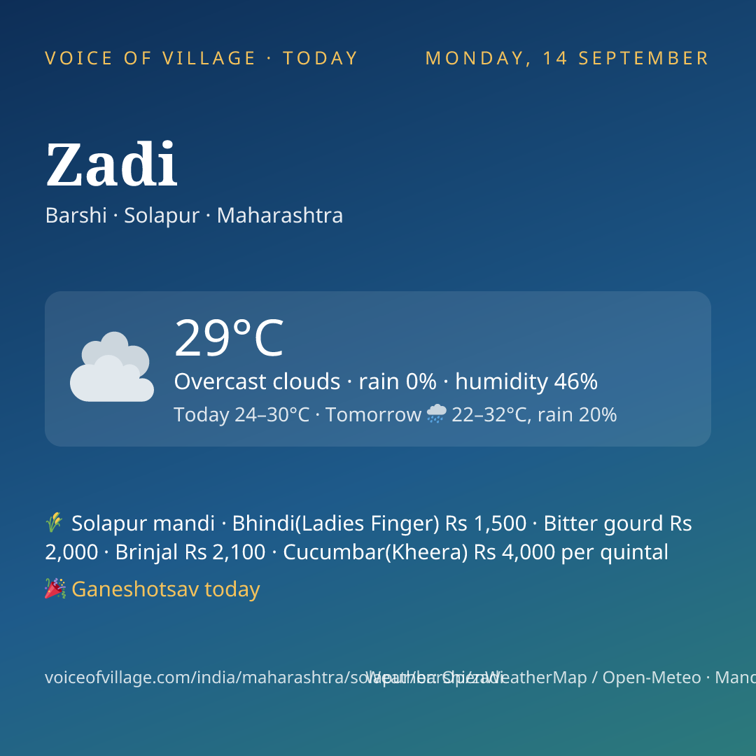 Zadi today