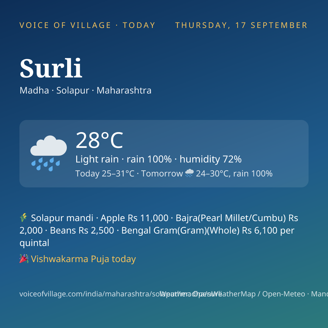 Surli today