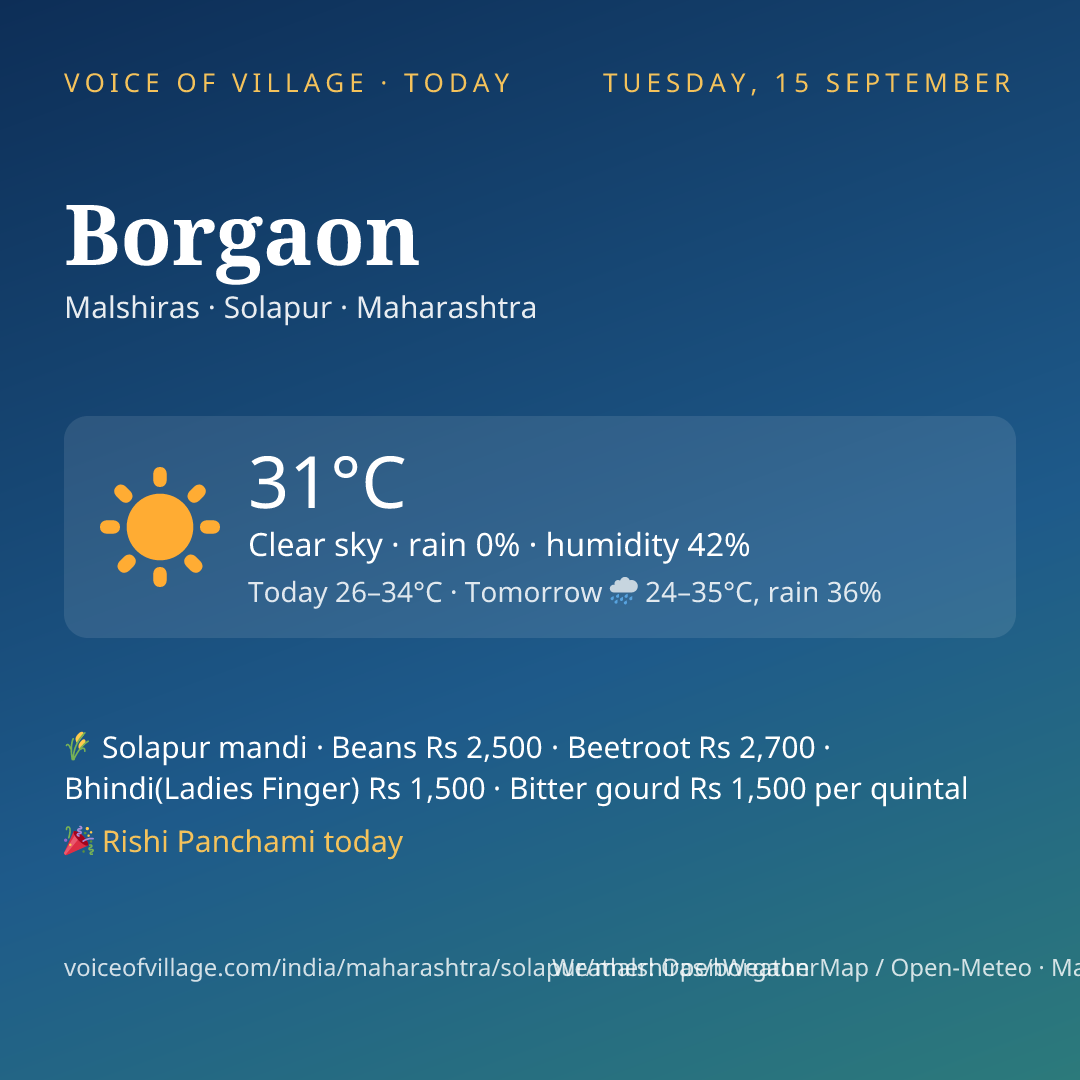 Borgaon today