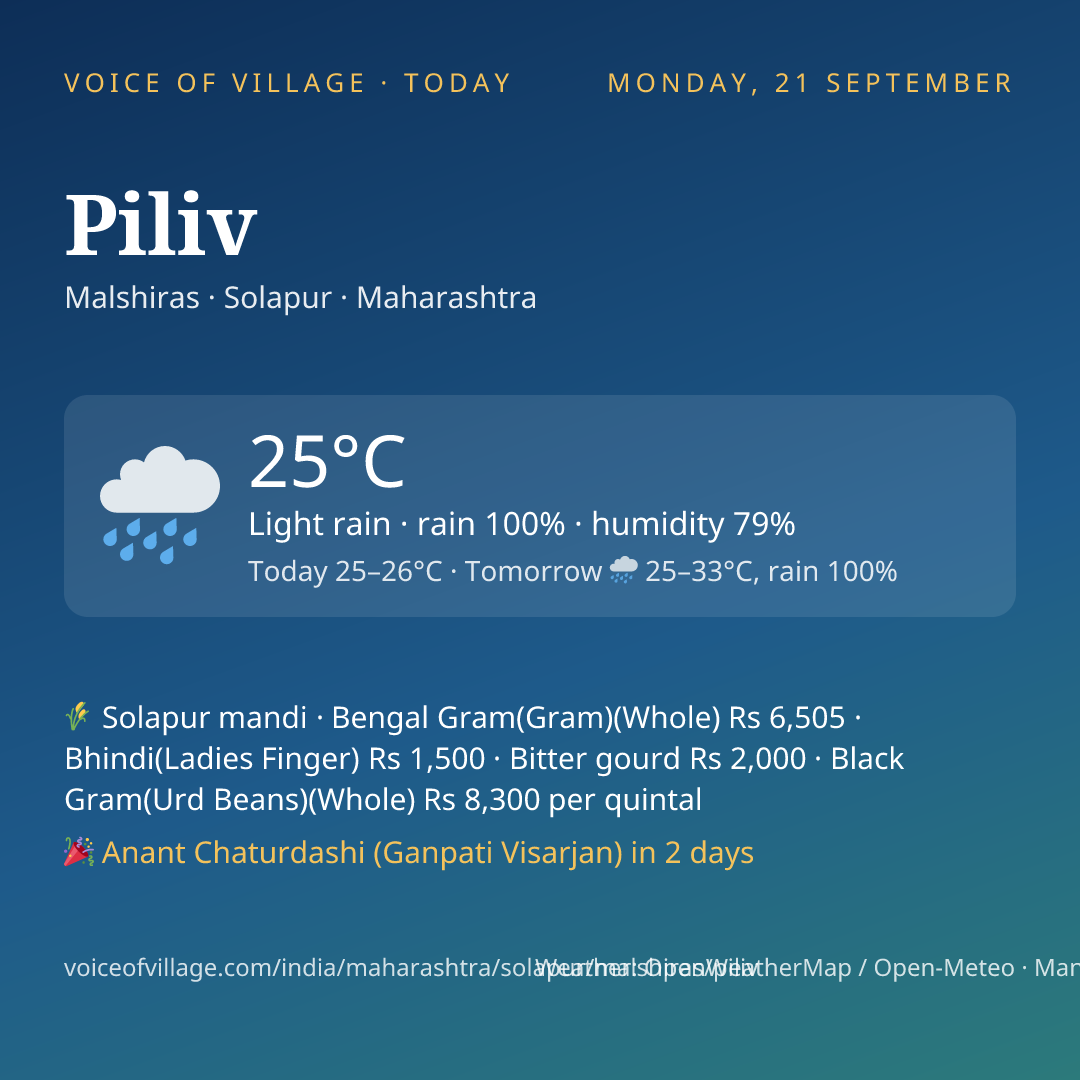 Piliv today