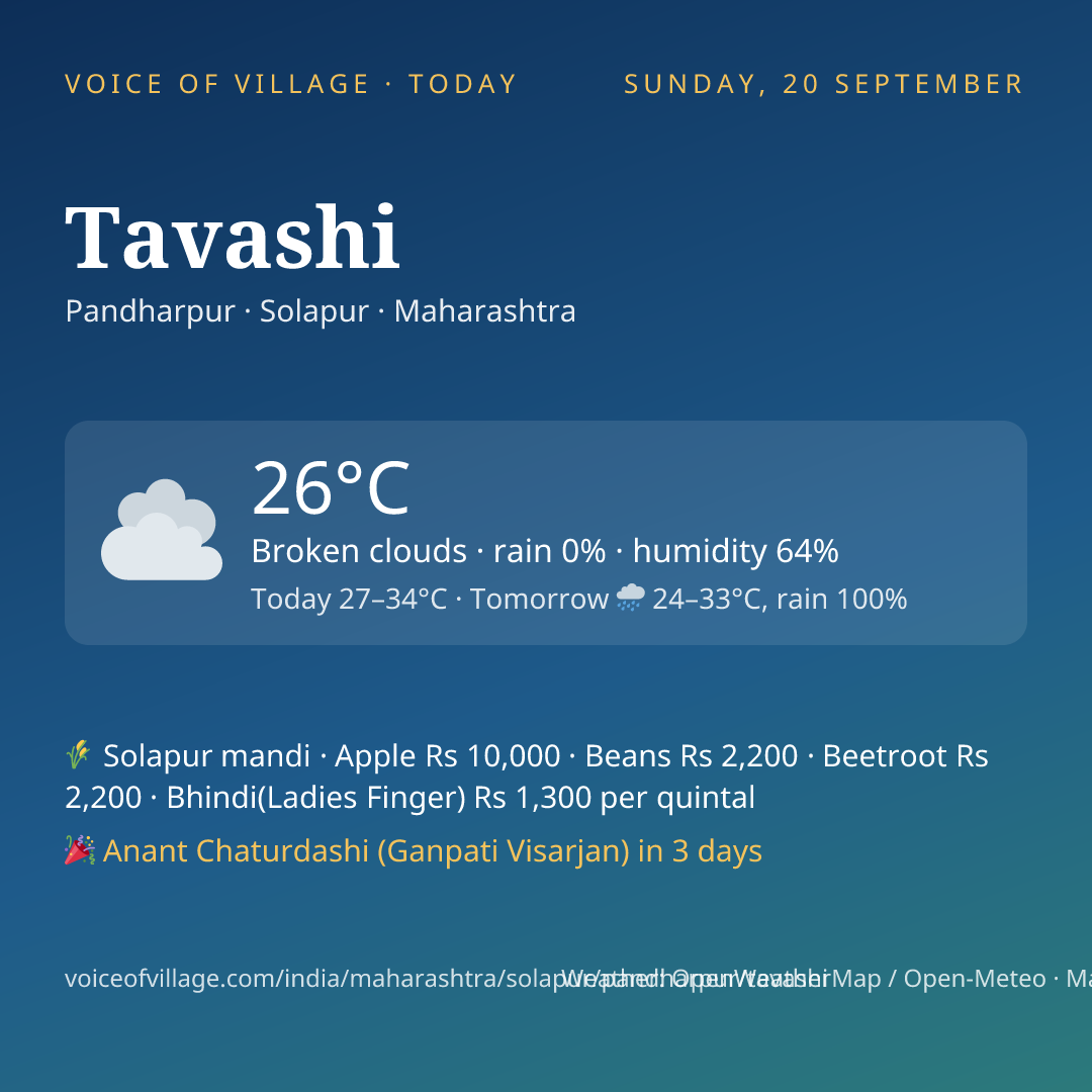 Tavashi today