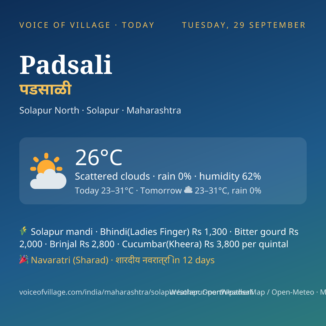 Padsali today